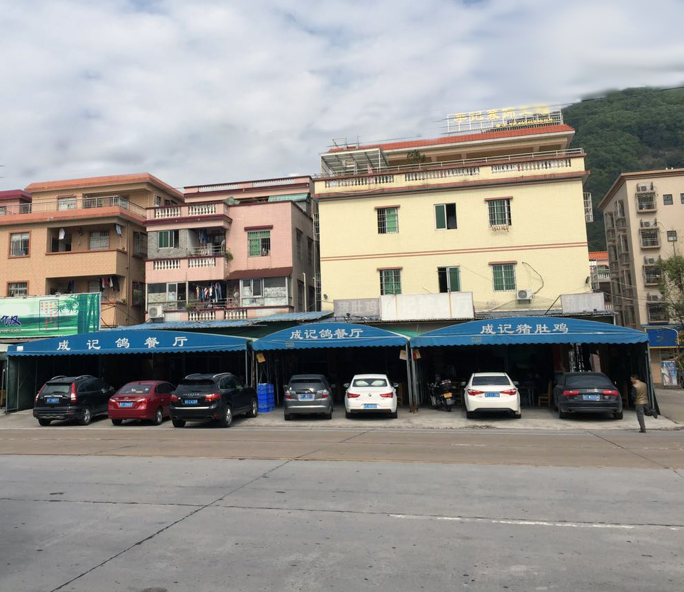 成记猪肚鸡